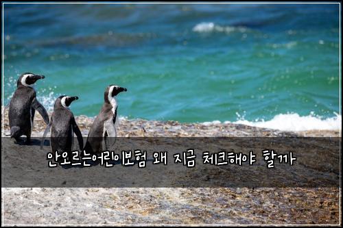 안오르는어린이보험 왜 지금 체크해야 할까
