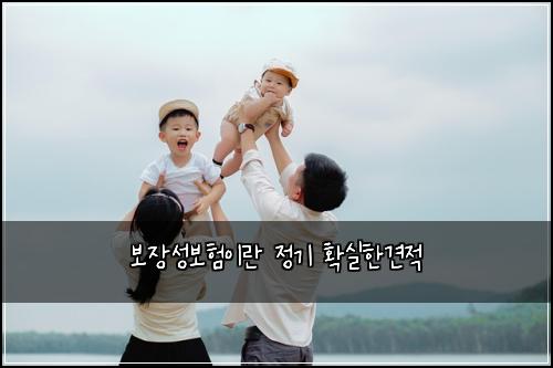 ๋ณด์ฅ์ฑ๋ณดํ์ด๋ ์ ๊ธฐ ํ์คํ๊ฒฌ์ 