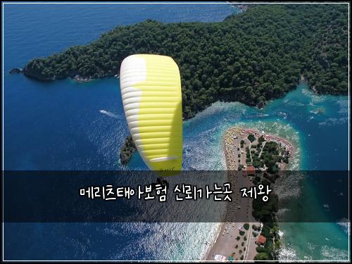 ๋ฉ๋ฆฌ์ธ ํ์๋ณดํ ์ ๋ขฐ๊ฐ๋๊ณณ ์ ์