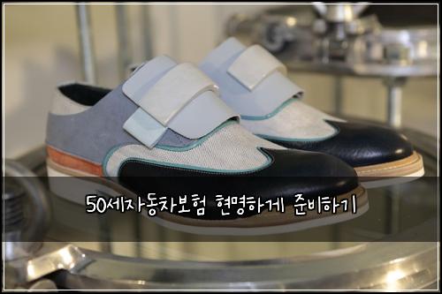 50세자동차보험 현명하게 준비하기