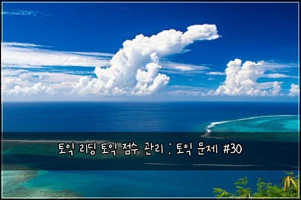 토익 리딩 토익 점수 관리 : 토익 문제 #30
