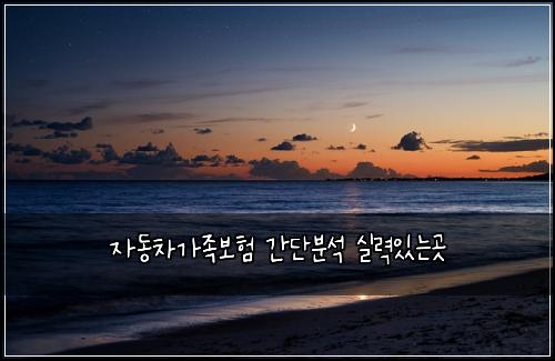 자동차가족보험 간단분석  실력있는곳