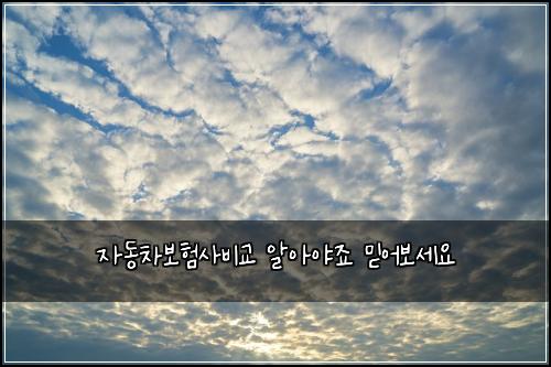 자동차보험사비교 알아야죠 믿어보세요