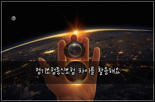 정기보험종신보험 차이를 활용해요