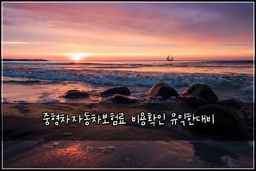 중형차자동차보험료 비용확인 유익한대비
