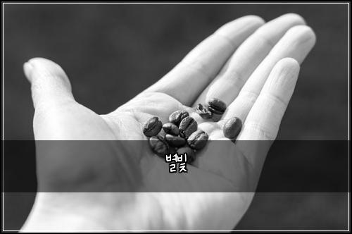별빛