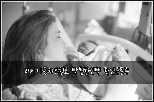 레이자동차보험료 탁월한선택 확인은필수