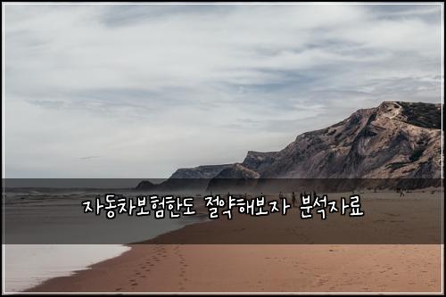 자동차보험한도 절약해보자 분석자료