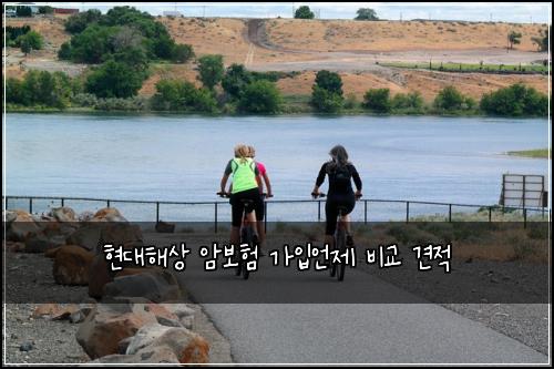 현대해상 암보험 가입언제  비교 견적