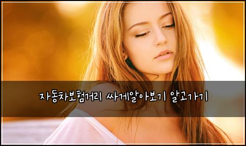 자동차보험거리 싸게알아보기 알고가기