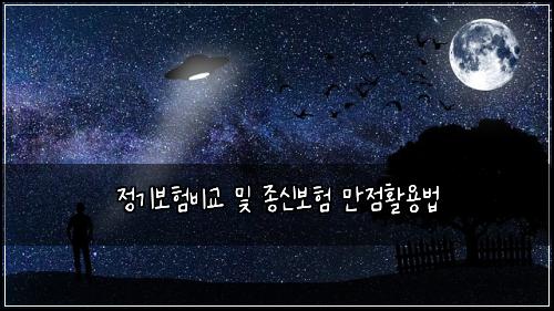 정기보험비교 및 종신보험 만점활용법