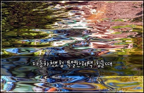 μλ차첫보ν νΉλ³ννν νλ€λ