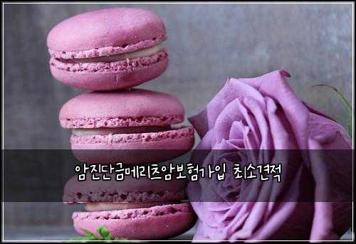 암진단금메리츠암보험가입 최소견적