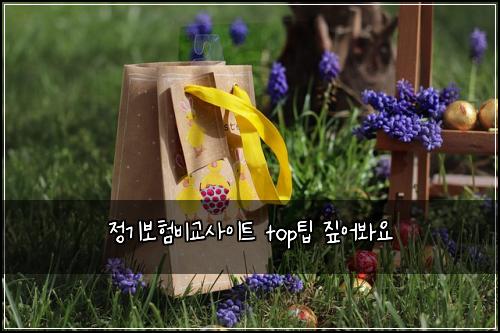 정기보험비교사이트 top팁 짚어봐요