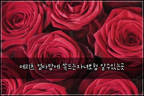 메리츠 엄마맘에 쏙드는자녀보험 알수있는곳 
