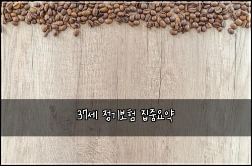 37μΈ μ 기보ν μ§μ€μμ½
