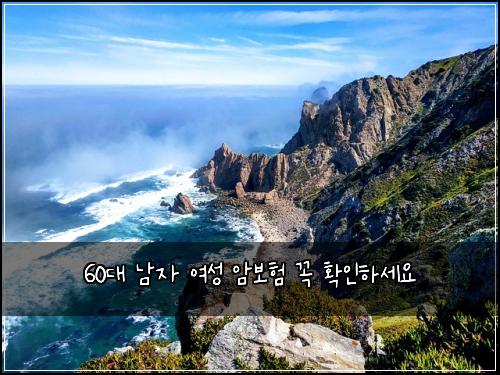 60대 남자 여성 암보험 꼭 확인하세요