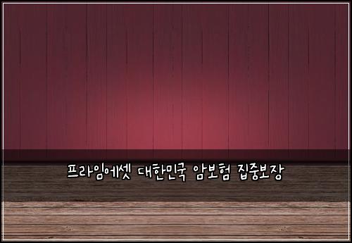 프라임에셋 대한민국 암보험 집중보장 