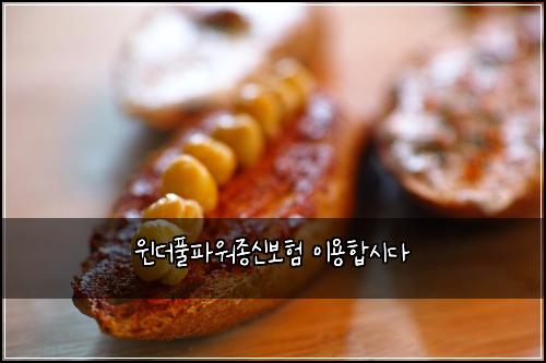 윈더풀파워종신보험 이용합시다 