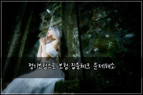 정기보험으로 보험 집중체크 문제해소