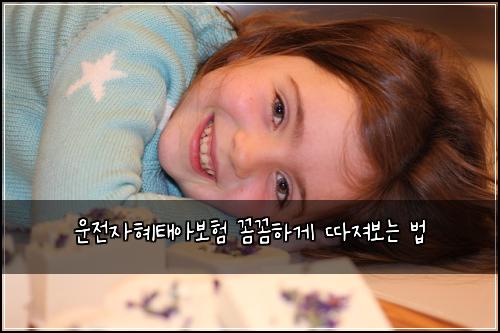 운전자혜태아보험 꼼꼼하게 따져보는 법