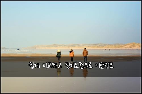 쉽게 비교하고 정기보험으로 이런정보