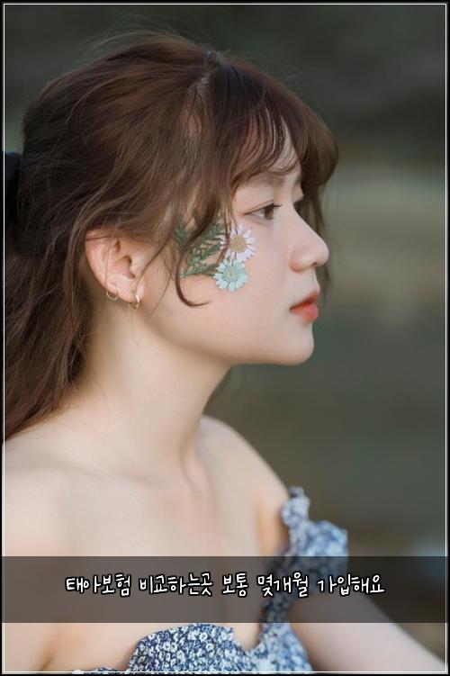 태아보험 비교하는곳  보통 몆개월 가입해요