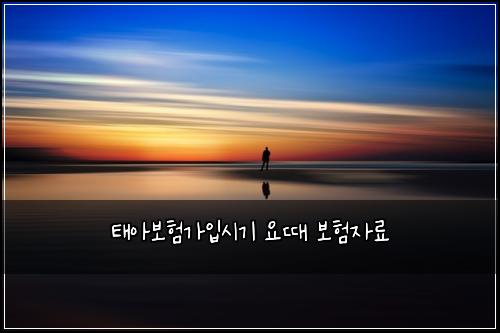 태아보험가입시기 요때 보험자료
