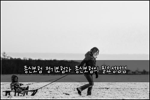 종신보험 정기보험과 종신보험의 필요성점검