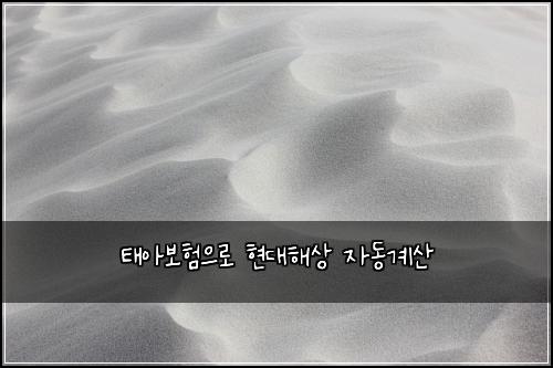 태아보험으로 현대해상 자동계산