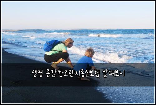 생명 용감한오렌지종신보험 살펴보니