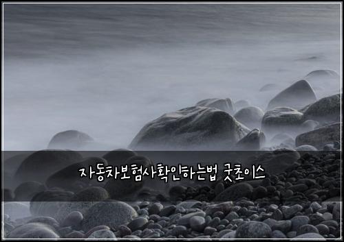 자동차보험사확인하는법 굿초이스