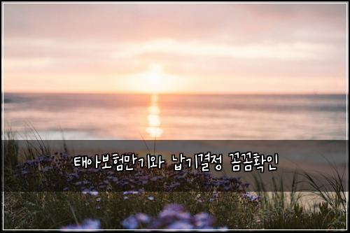 태아보험만기와 납기결정 꼼꼼확인