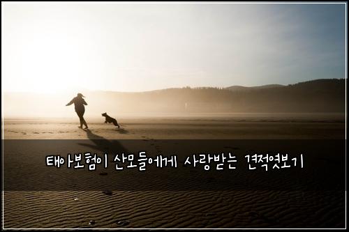 ํ์๋ณดํ์ด ์ฐ๋ชจ๋ค์๊ฒ ์ฌ๋๋ฐ๋ ๊ฒฌ์ ์ฟ๋ณด๊ธฐ