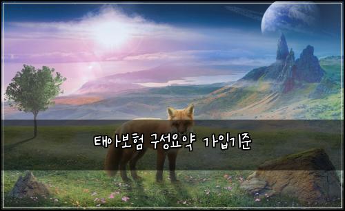태아보험 구성요약  가입기준