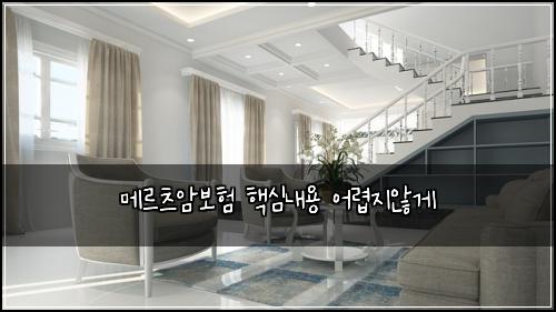 메르츠암보험 핵심내용  어렵지않게