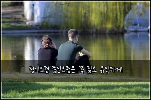 ์ ๊ธฐ๋ณดํ ์ข
์ ๋ณดํ์ ๊ผญ ํ์ ์ ์ตํ๊ฒ