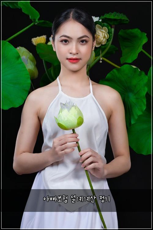아빠보험 설계계산  정기
