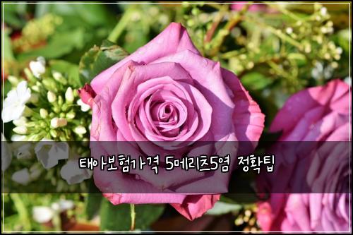 태아보험가격 5메리츠5염 정확팁