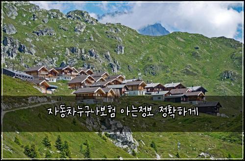 자동차누구나보험 아는정보  정확하게
