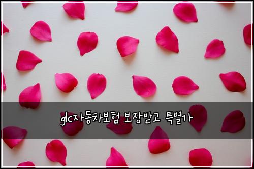 glc자동차보험 보장받고  특별가