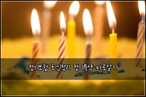 정기보험 최신정리  정기특약 바로알기