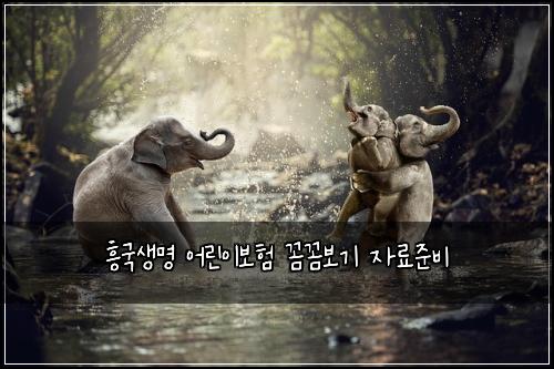 ํฅ๊ตญ์๋ช
์ด๋ฆฐ์ด๋ณดํ ๊ผผ๊ผผ๋ณด๊ธฐ ์๋ฃ์ค๋น