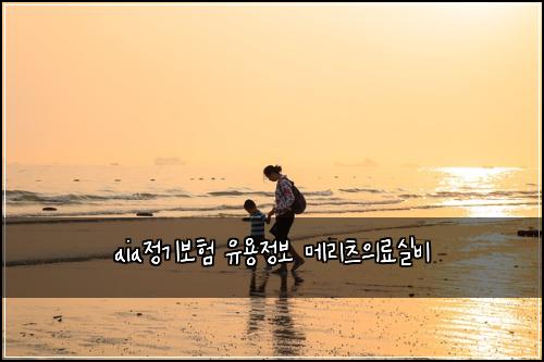 aia정기보험 유용정보  메리츠의료실비