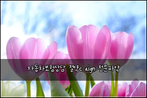자동차보험상담 절약c aign 전문파악