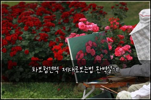차보험견적 제대로보는법 완벽설계
