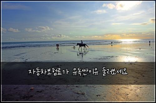์๋์ฐจ๋ณดํ๋ฃ๊ฐ ์ ๋
์ผ์ด์ ๋๋ฌ๋ณด์ธ์