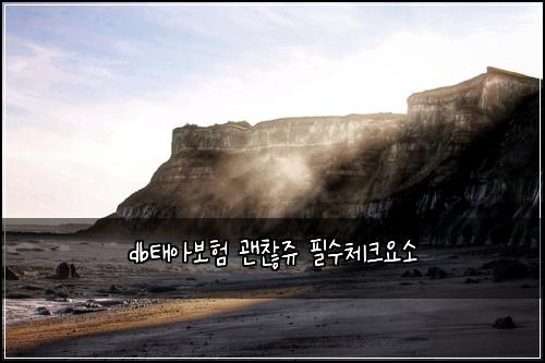 db태아보험 괜찮쥬  필수체크요소
