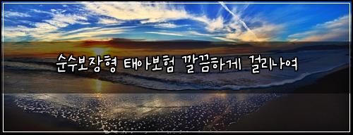 순수보장형 태아보험 깔끔하게  걸리나여