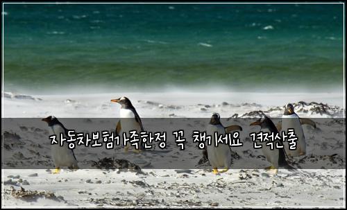 자동차보험가족한정 꼭 챙기세요 견적산출